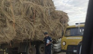 Смертельное ДТП: пять человек погибли в ЗКО