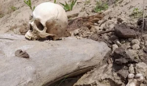 Чудовищную находку обнаружили на кладбище в Усть-Каменогорске