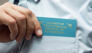 В 2024 году сколько этнических казахов получили статус кандаса