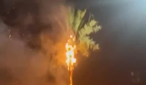 Искусственная пальма загорелась в новогоднюю ночь в Актау