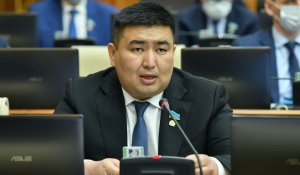 «Затянуть пояса». Депутат призвал отказаться от Іphone, яблок и чипсов