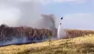 Лесной пожар тушат в Карагандинской области