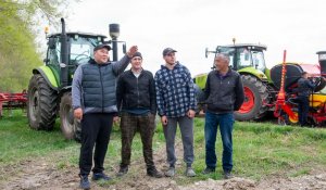 В Сарканском районе области Жетісу аграрии начали выращивать масличный лен