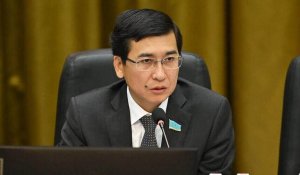Аймагамбетов: Считать особенных детей угрозой для общества — ошибочно