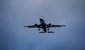 Самолет столкнулся с птицей при посадке в Астане