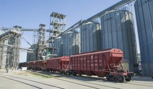 Экспорт зерна нового урожая достиг 7,6 млн тонн: рост на 58%