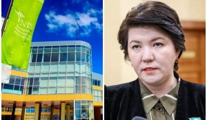 Скандал вокруг НИШ: Депутат Сулейменова раскрыла, в чём суть проблемы