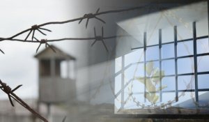 Из учебного заведения при исправительном учреждении в Таразе похищено 25,5 млн тенге