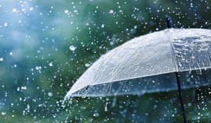 Ливни, бури и жара до +40° прогнозируются в начале июня