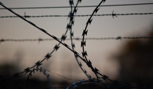 В Казахстане будет проведена амнистия осуждённых в честь 30-летия Конституции