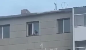 Ребенка видели на карнизе окна на высоте пятого этажа в Жезказгане