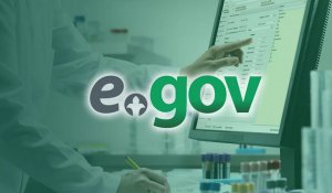 В мобильном приложении Egov появился новый сервис