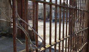 В Иране задержали около 700 предполагаемых шпионов, связанных с Израилем