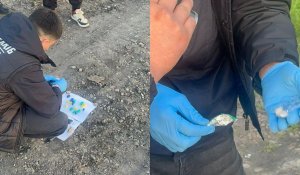 В СКО с начала года задержали 29 человек за сбыт наркотиков