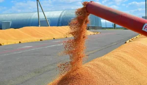 Агропромышленный комплекс Костанайской области: Устойчивое развитие и продовольственная безопасность