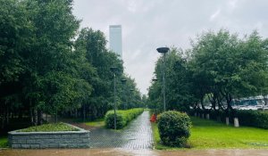 Погода в Астане с 28 июля по 3 августа 2025 года