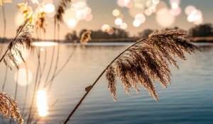 Синоптики порадовали жителей Астаны, Алматы и Шымкента долгожданным прогнозом