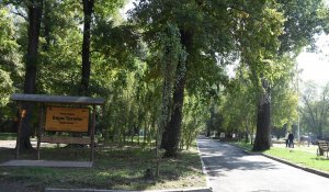 Акимат Алматы продолжает развитие общественных пространств: стартует благоустройство рощи Баума