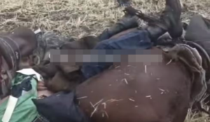 Молния убила пастуха, лошадей и собаку: трагедия в Жетысу
