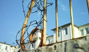 Хуже, чем в Освенциме: правозащитники рассказали о шокирующих условиях в СИЗО Атырау