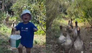 Видео трехлетнего мальчика из Актобе, убегающего от гусей, опубликовал Snoop Dogg