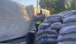 Фура с 35 тоннами семечек опрокинулась на трассе в области Жетісу