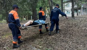 Пошла за грибами: девушку вынесли из леса на носилках карагандинские спасатели