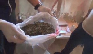 Полиция пресекла наркоплантацию в Актюбинской области