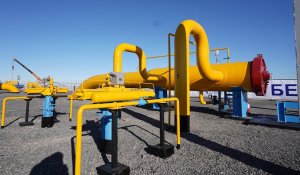 К концу 2025 года уровень газификации в Алматинской области превысит 59%