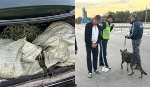 Полиция изъяла более 17 кг наркотических средств в Туркестанской области