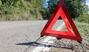 Смертельная авария под Павлодаром: машина врезалась в лошадь, двое погибли