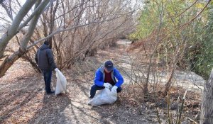 В рамках экоакции в Атырау высажено более 4 тысяч деревьев