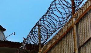 Таинственная смерть в колонии Семея: КУИС дал объяснение