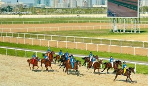 Будут ли возведены жилые объекты на месте ипподрома Алматы, прокомментировали в городском акимате