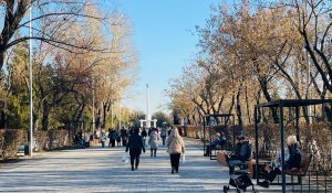 Погода в Петропавловске с 3 по 9 ноября 2025 года