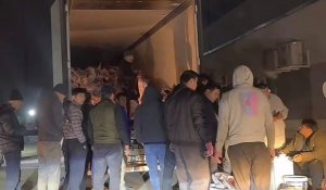 Мясо сайгаков скоро появится на прилавках супермаркетов Казахстана