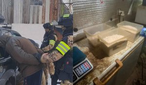 В Караганде раскрыта подпольная лаборатория: изъято 52 кг «синтетики» и тонна прекурсоров