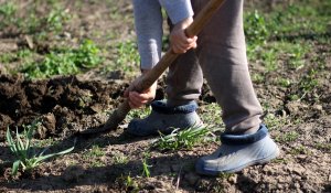 "Вывез за город, заставил взять кредит, убил и закопал": жителю Актобе вынесен приговор