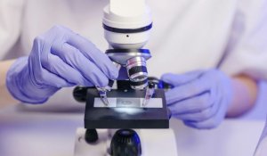 Опасное захоронение: ситуацию с сибирьской язвой прокомментировали в Алматинской области