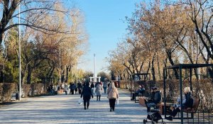 Погода в Петропавловске с 10 по 16 ноября 2025 года