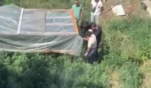 150 кустов конопли изъяла полиция у жителя Павлодара