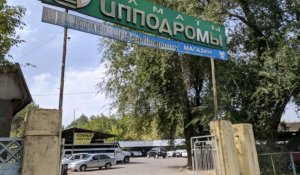 Алматинский ипподром могут застроить: озвучены опасения общественности