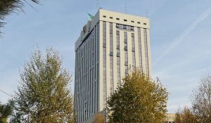 Погода в Шымкенте с 24 по 30 ноября 2025 года