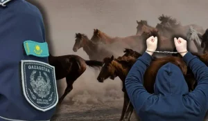 Банда скотокрадов нанесла удар по фермерам в области Улытау