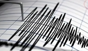 Землетрясение ощутили жители Шымкента и Тараза