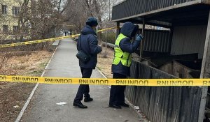 Тело новорожденного найдено в Кентау: полиция ищет мать