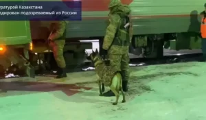 Нанёс 22 удара ножом: подозреваемого в убийстве бизнесмена экстрадировали в Казахстан