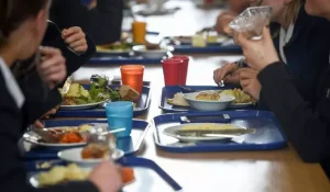 Цена и качество питания в детсадах: депутат потребовала от министерства принять срочные меры