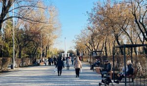 Погода в Петропавловске с 15 по 21 декабря 2025 года