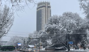 Погода в Алматы с 22 по 28 декабря 2025 года